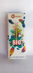 Flower Pot Big
