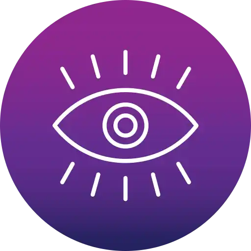 Vision